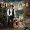 JOE VESTICH - Steal the Wind